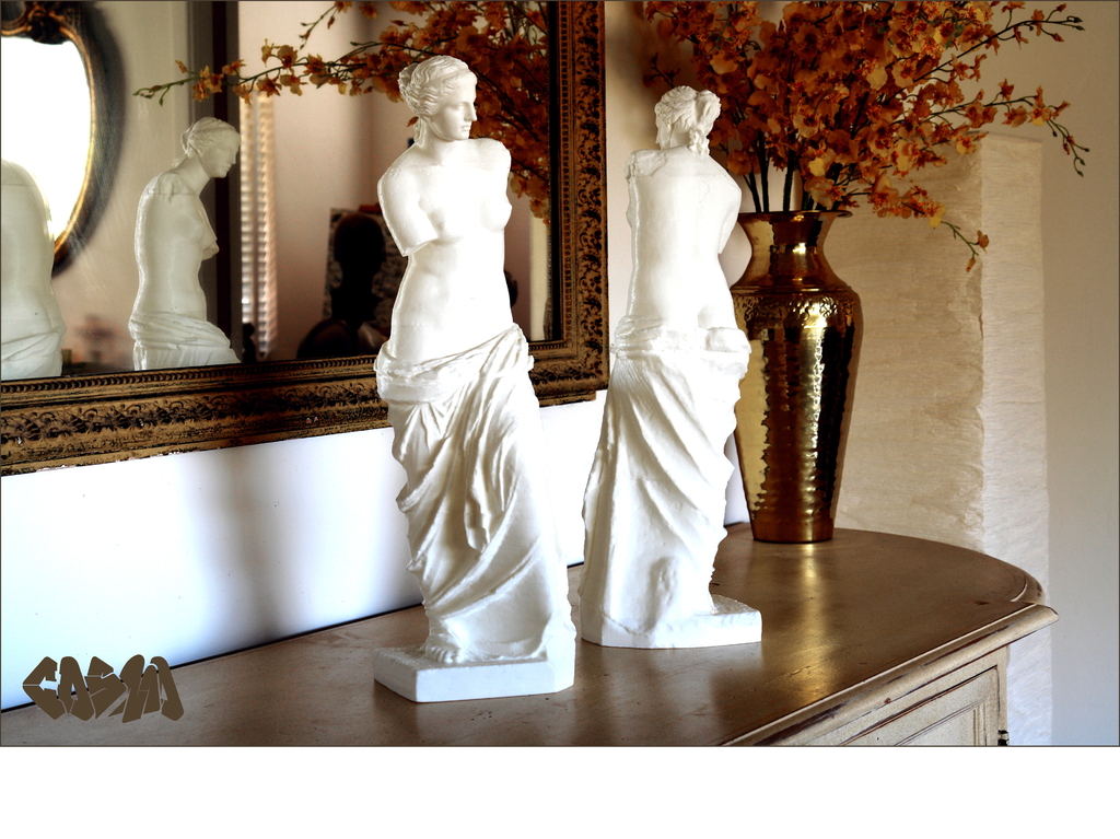 20131201_Venus_de_Milo_Prints_on_Sideboard_by_Cosmo_Wenman_4x3_display_large.jpg